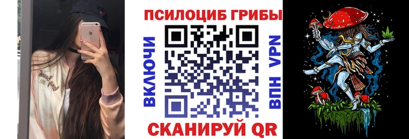 кракен ONION  Михайлов  Галлюциногенные грибы Psilocybine cubensis 