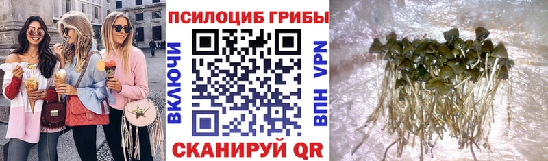 Псилоцибиновые грибы Magic Shrooms Михайлов